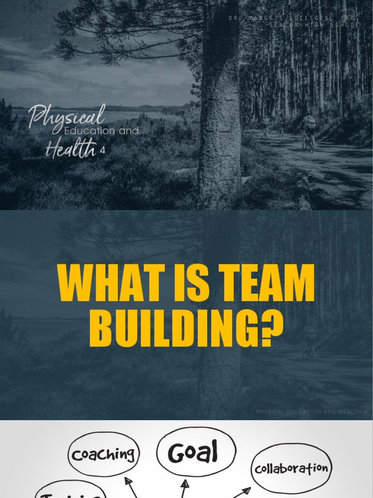 Effective Team Building Strategies | PDF | Applied Psychology | Social ...