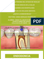 Que es la endodoncia