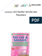 IVA dan Sadanis RSMH