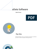 PetaData Digital Strategy