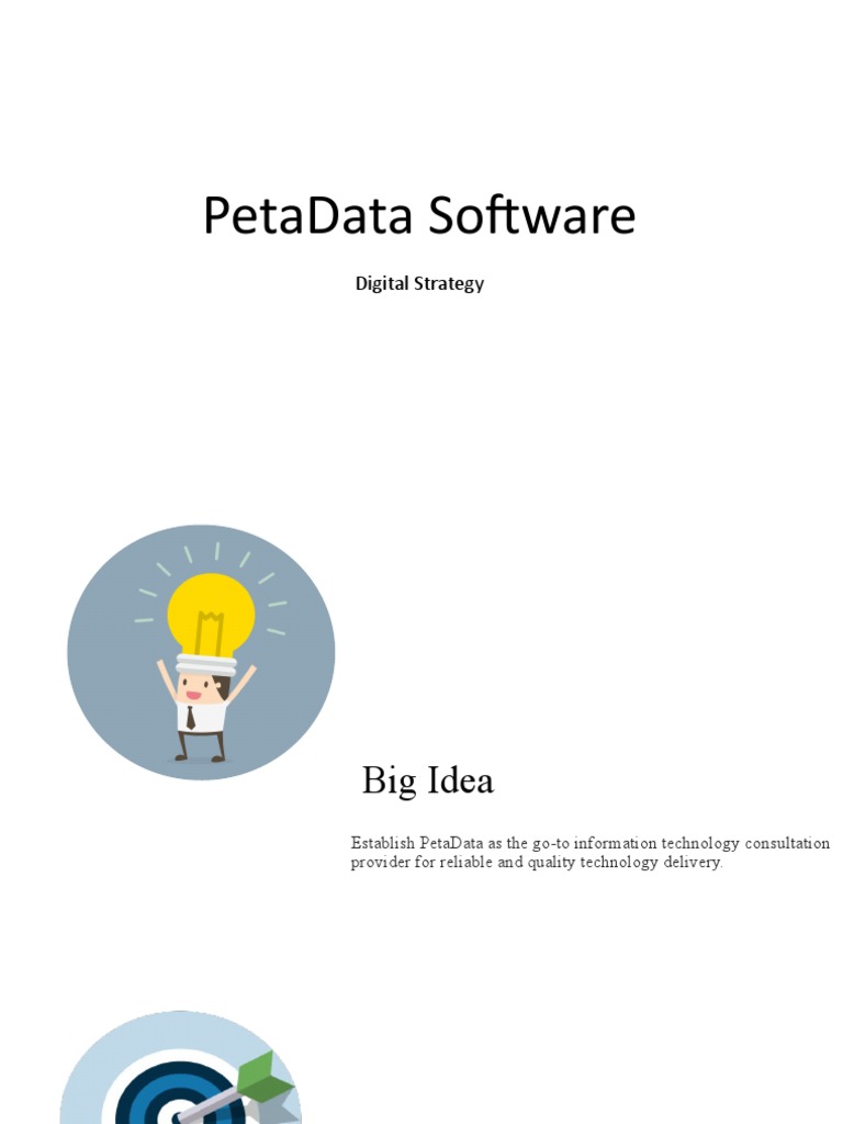 PetaData Digital Strategy | PDF | Social Media | Popular Culture ...