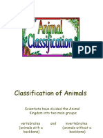 Animalclassificationpowerpoint 170220081142