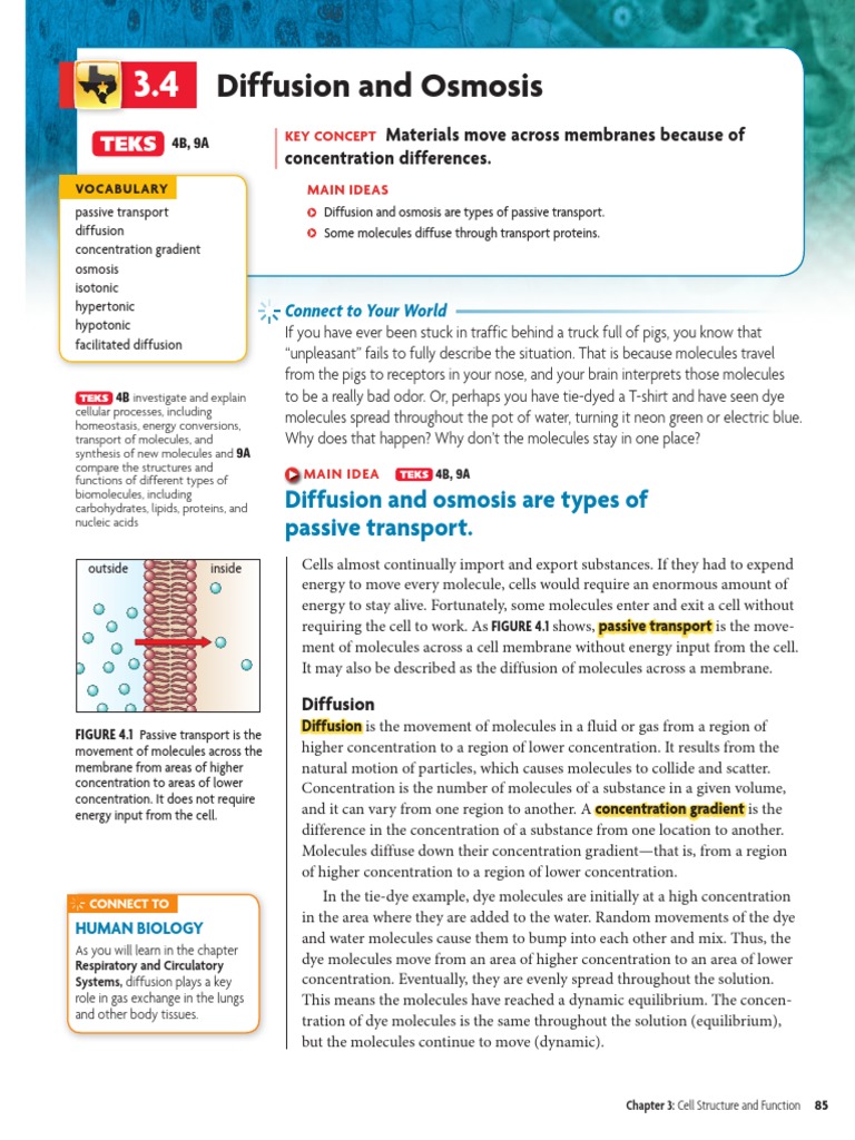 Bio - 3 4 - Student Edition | PDF | Osmosis | Cell Membrane