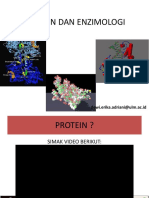 Protein Dan Enzimologi: Dewi - Erika.adriani@ulm - Ac.id