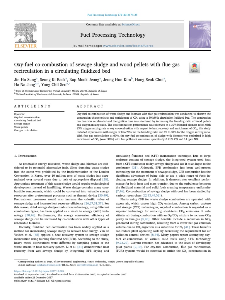 Oxy-Fuel Co-Combustion of Sewage Sludge | PDF | Combustion | Fuels