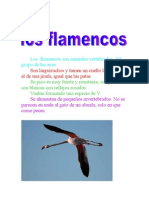 Los Flamencos Son Animales Vertebrados