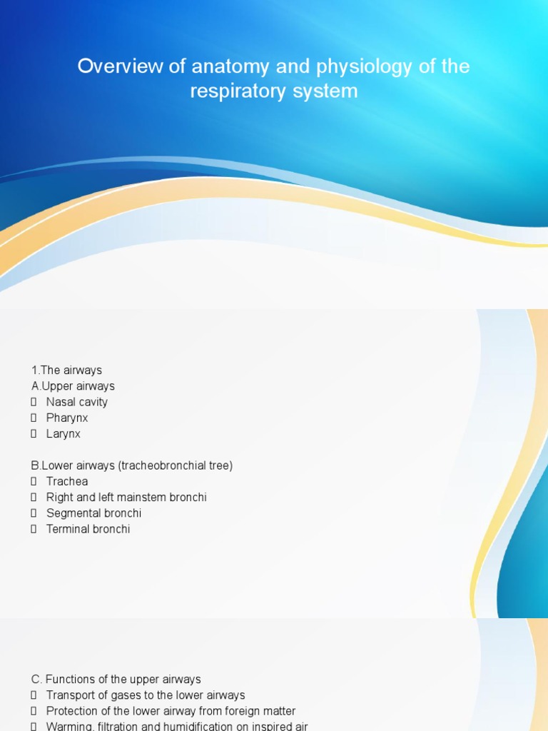 Overview of Anatomy and Physiology of The Respiratory System | PDF