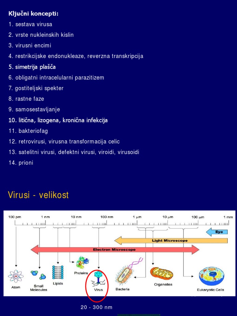 MB 4 | PDF