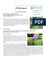 Foliar Diseases of Hydrangea FBG 022916 G1