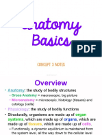 Concept 3 Notes - Anatomy Basics For Students