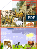 GHICI GHICITOAREA MEA animale  domestice-Joc interactiv -evaluare