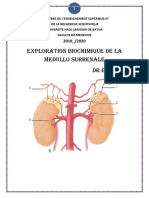 Biochimie de La Medullo Surrenale Medecine