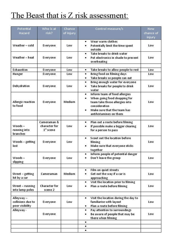The Beast That Is Z Risk Assessment | PDF | Allergy | Foods