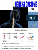 ZABOLYaVANIYa NA NERVNATA SISTEMA