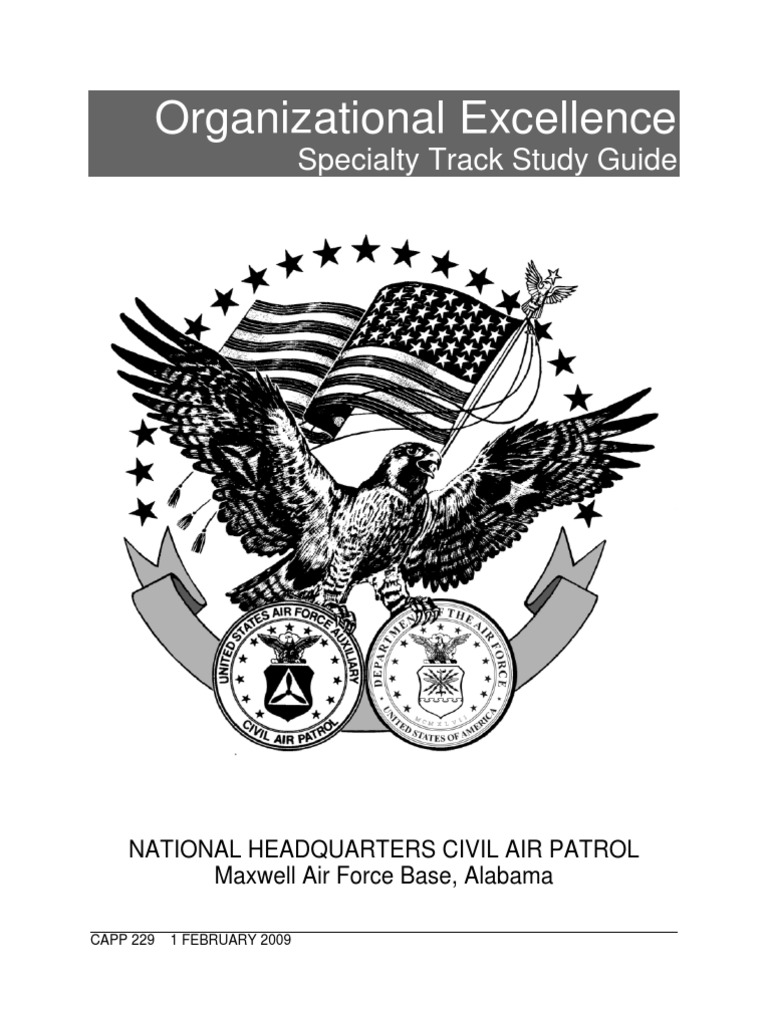 Organizational Excellence Study Guide | PDF