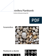 Foraminifera Planktonik - Praktikum 1