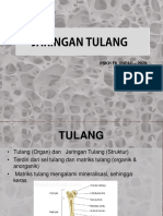 Jaringan Tulang