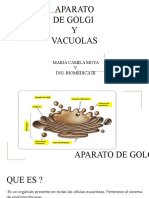 Aparato de Golgi y Vacuolas