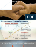 Proceso Terapeutico Sistémico