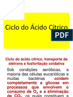 Ciclo Do Ácido Cítrico