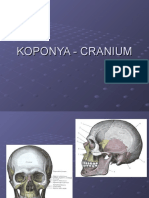 6 Koponya - Cranium