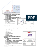 Cell Injury Mechanisms and Adaptations