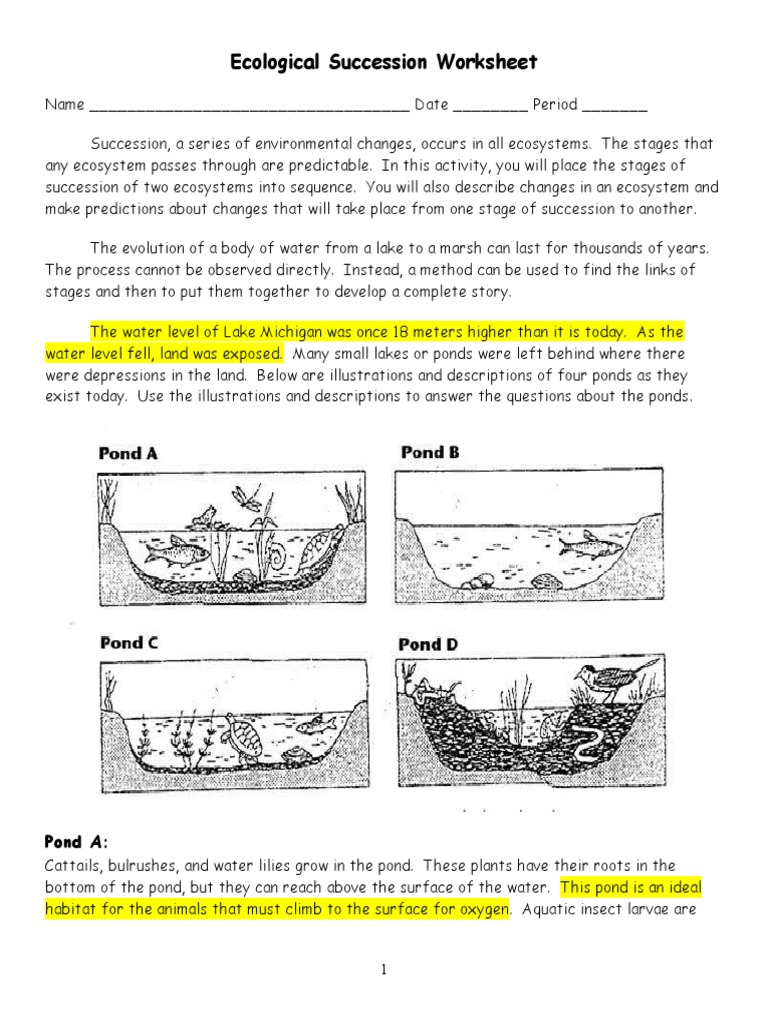 Pond Succession Stages Worksheet | PDF | Pond | Lake, image size:768x1024