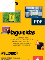 Exposicion Plaguicidas