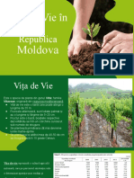 Vița de Vie în Republica Moldova