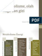 Metabolisme, olah raga dan gizi