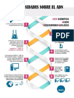 Curiosidades Sobre El DNA