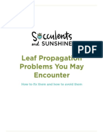 Leaf Propagation Problems You May Face and How To Fix Them