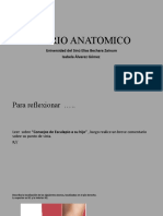 Diario Anatomico 1