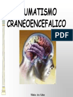 TRAUMATISMO CRANEOENCEFALICO