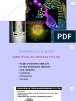 6 Endomembrane System