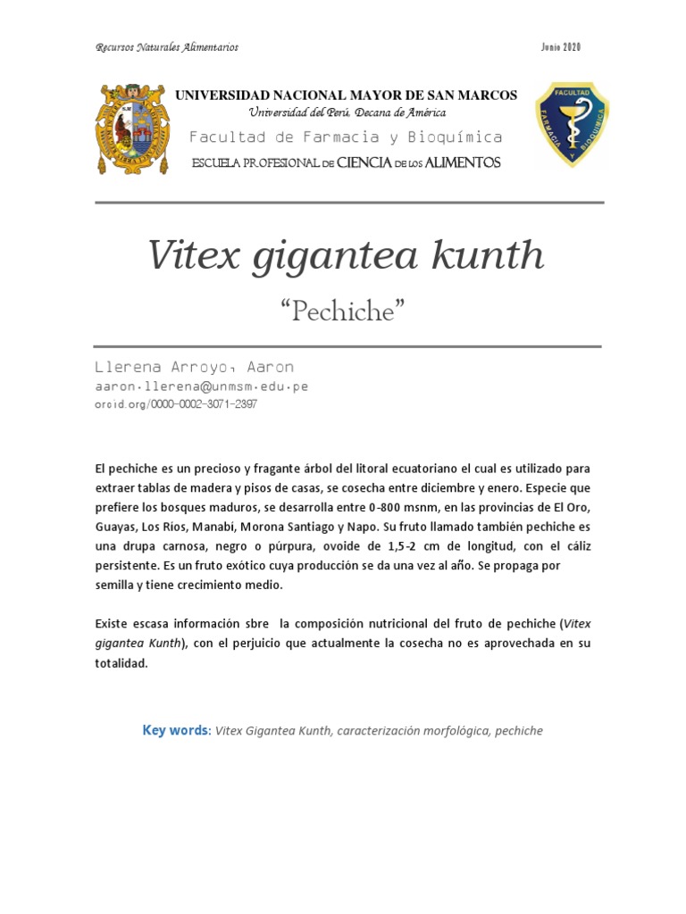 Vitex Gigantea Kunth, Pechiche | PDF | Hoja | Fruta