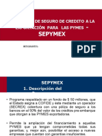 Programa - Sepymex