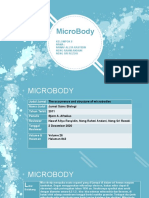 Micro Body