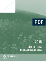 Guia Flora Lomas Lima 2015