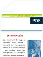 Gestion Del Riesgo1