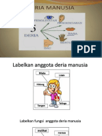 Jawapan Aktiviti