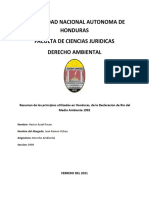 Principios de la Declaracion de Rio de 1992 aplicados en Honduras