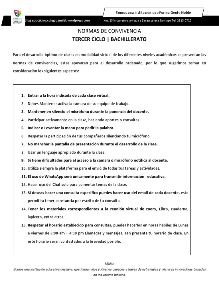 Normas de Convivencia en Clases Virtuales | PDF | Maestros | Science