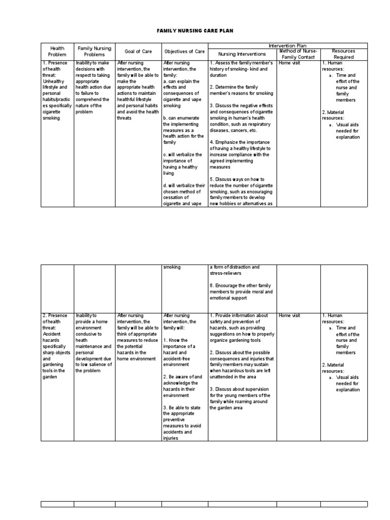 Sample Family Nursing Care Plan PDF Hazards Nursing