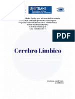 Cerebro Limbico