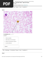 PAL: Histology Connective Tissue Quiz Question 1