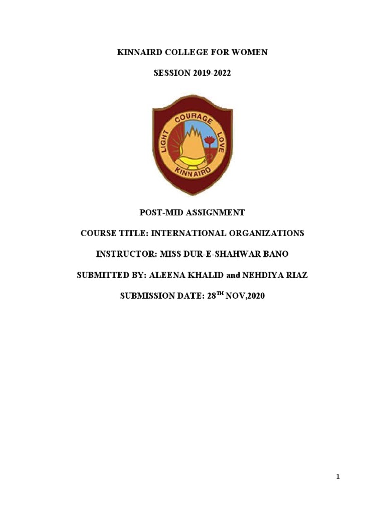 IO Assignment | PDF | Millennium Development Goals | Maternal Death