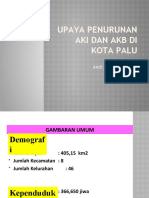 Upaya Penurunan AKI Dan AKB Di Kota Palu