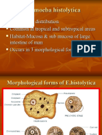 Entamoeba histolytica: Morphology, Pathogenicity & Diagnosis