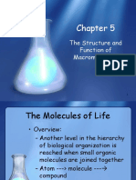 The Structure and Function of Macromolecules